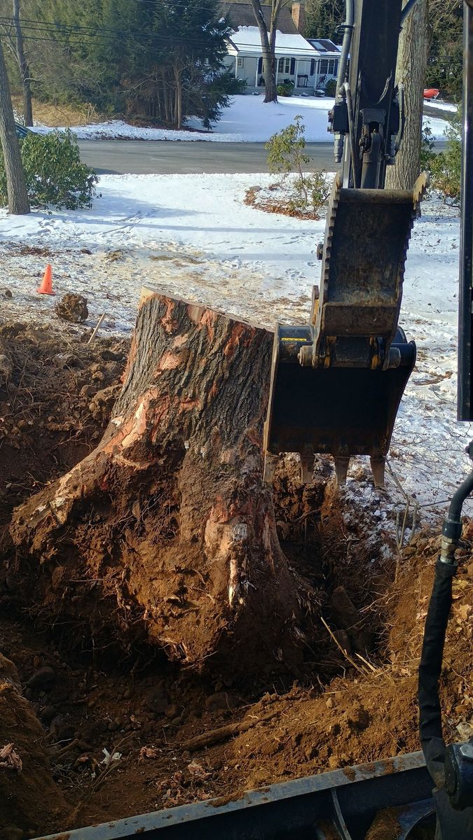 Excavation for Cody's Excavation and Septic in Plainville, CT