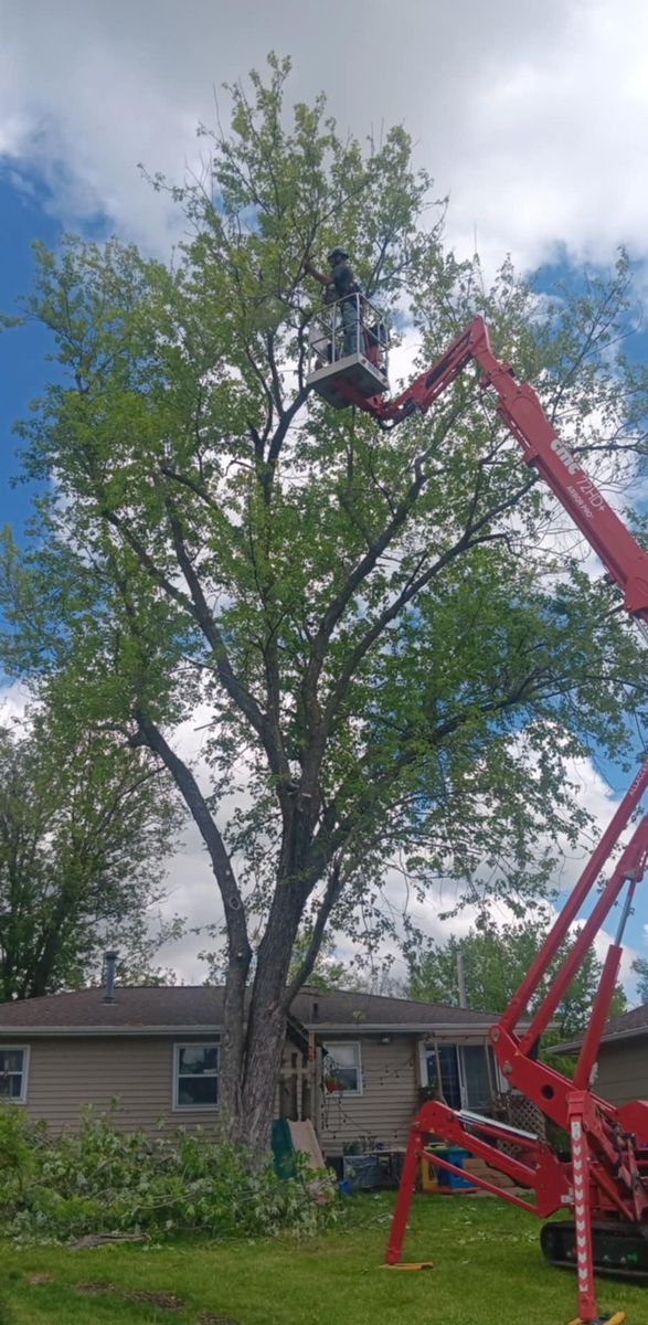 Tree Trimming for Lawn Ranger Yard And Tree Service LLC in Ottumwa, IA