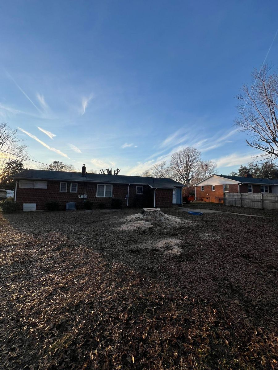 Stump Removal for Brooks Tree Service in Casar, NC