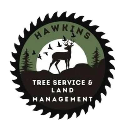 Tree Removal for Hawkins Tree Service & Land Management in Richmond Hill, GA