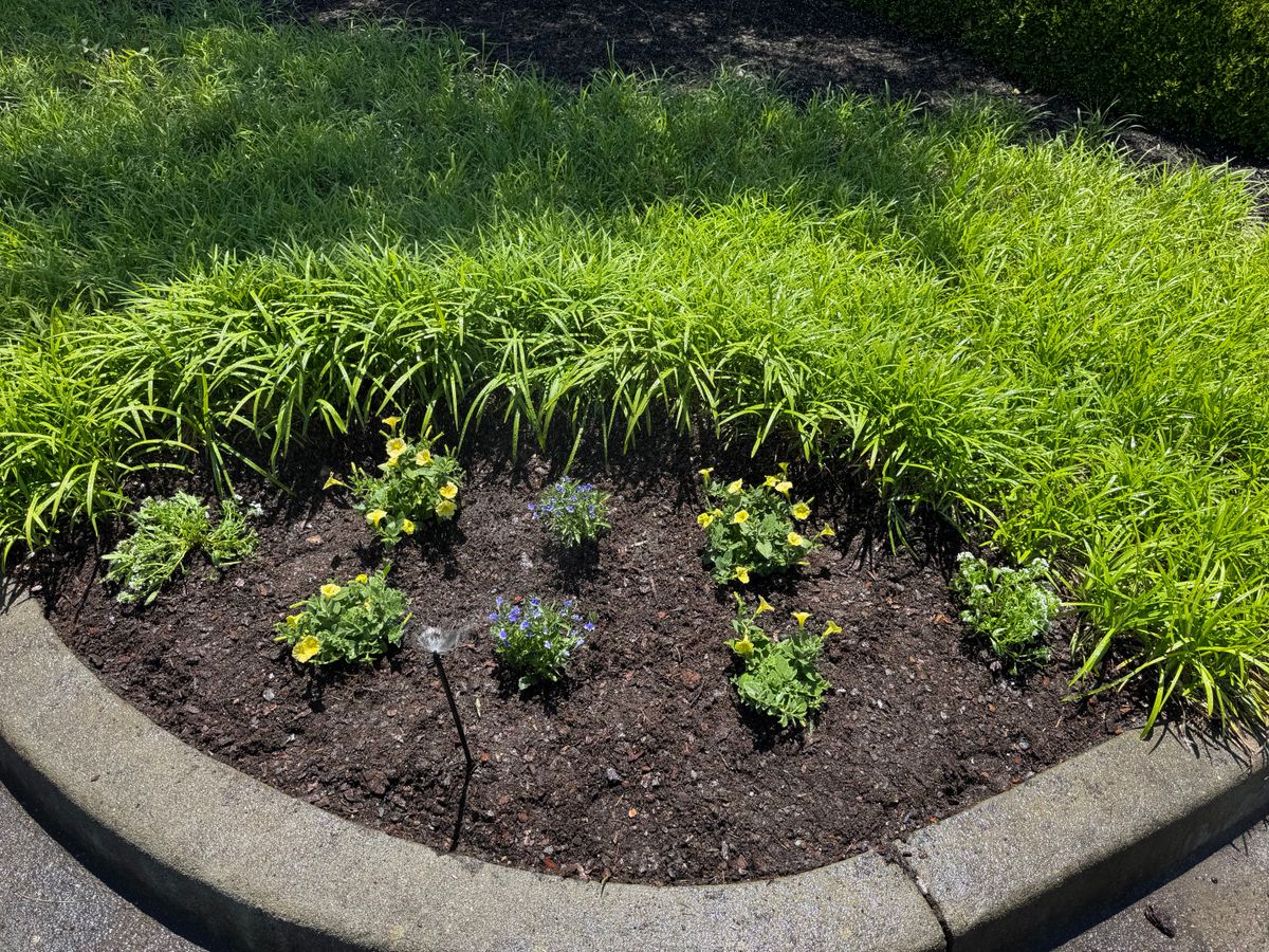 Mulch Installation for Thin Green Line Landscaping & More in Laurens, SC