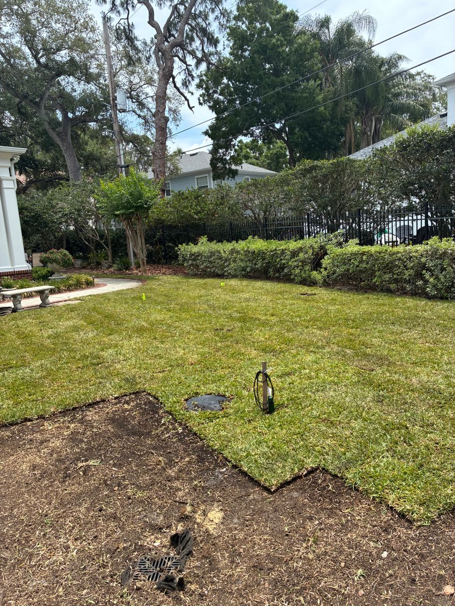 Resod Specialist for Gulf Bay Sod in Clearwater, FL