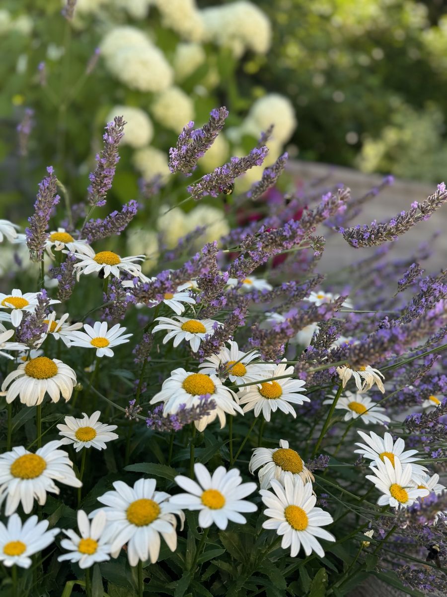 Horticulture Consultation for Courtney Lewis Landscape Design in Portland, OR