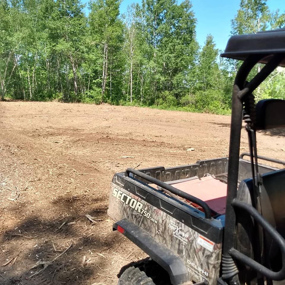 Forestry Mulching for Central Minnesota Brush Control and Landscaping in Brook Park, MN
