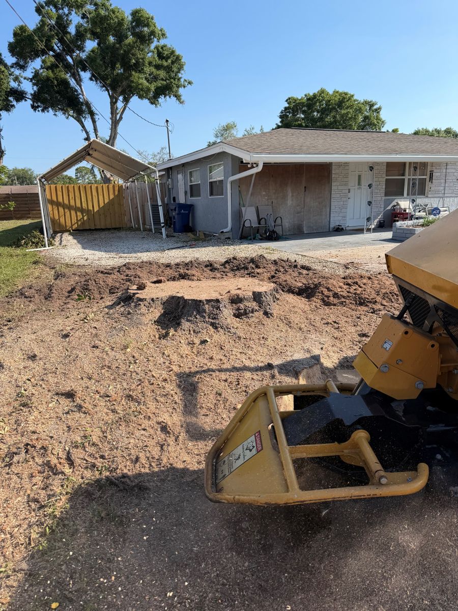 Stump Removal for Damian’s Tree Care in Sarasota, FL