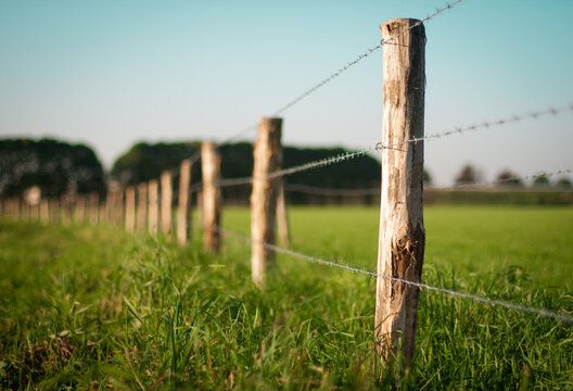 Deer Fencing for Pine Mountain Restoration in Howard, PA