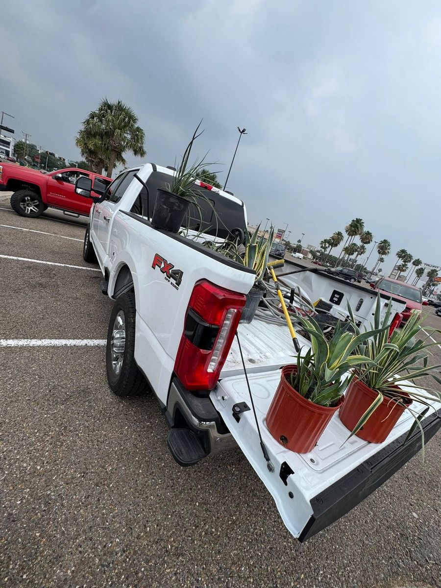 Planting for AllStar Scapes in Edinburg, TX