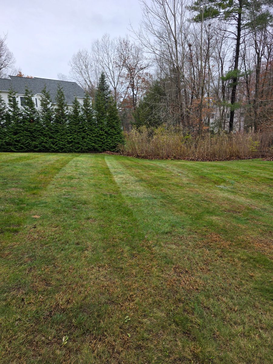 Lawn Maintenance for Sweet Scapes in Ballston Spa, NY
