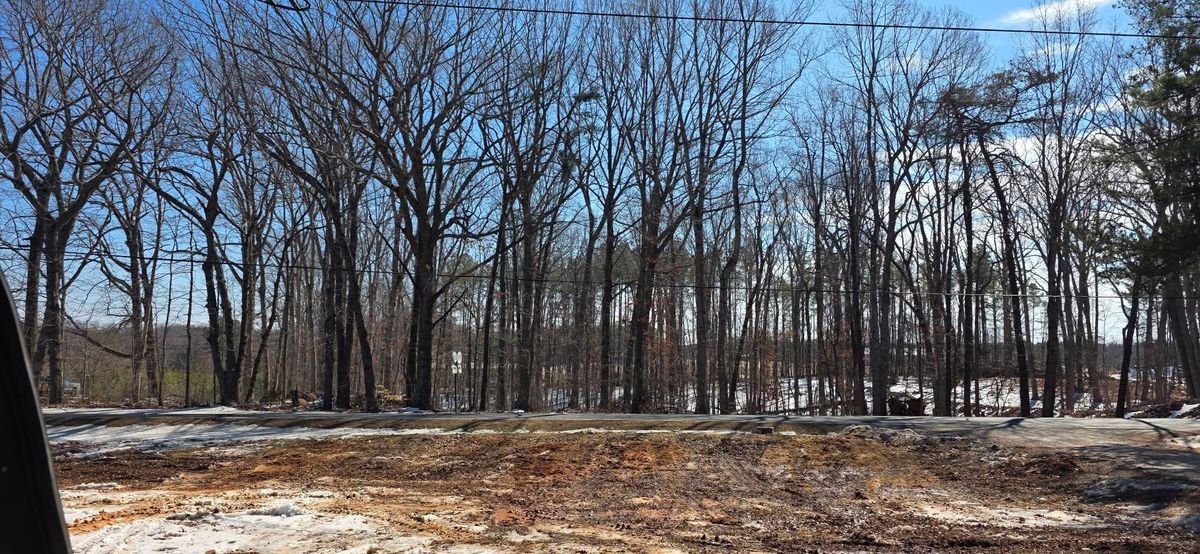 Stump Removal for Hamlett Tree Service LLC in Clover, VA