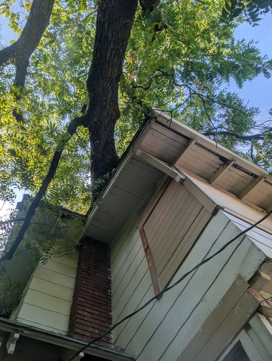 Tree Removal for Mitchell Tree Company in Lathrop, MO
