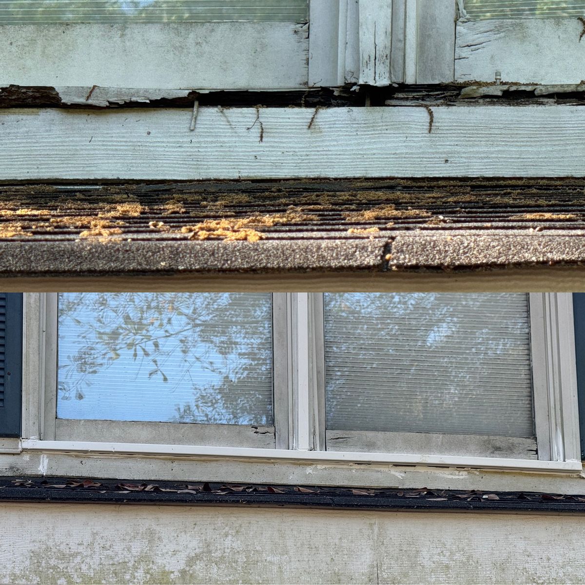 Gutter Cleaning for Camalett Services in Perry, GA