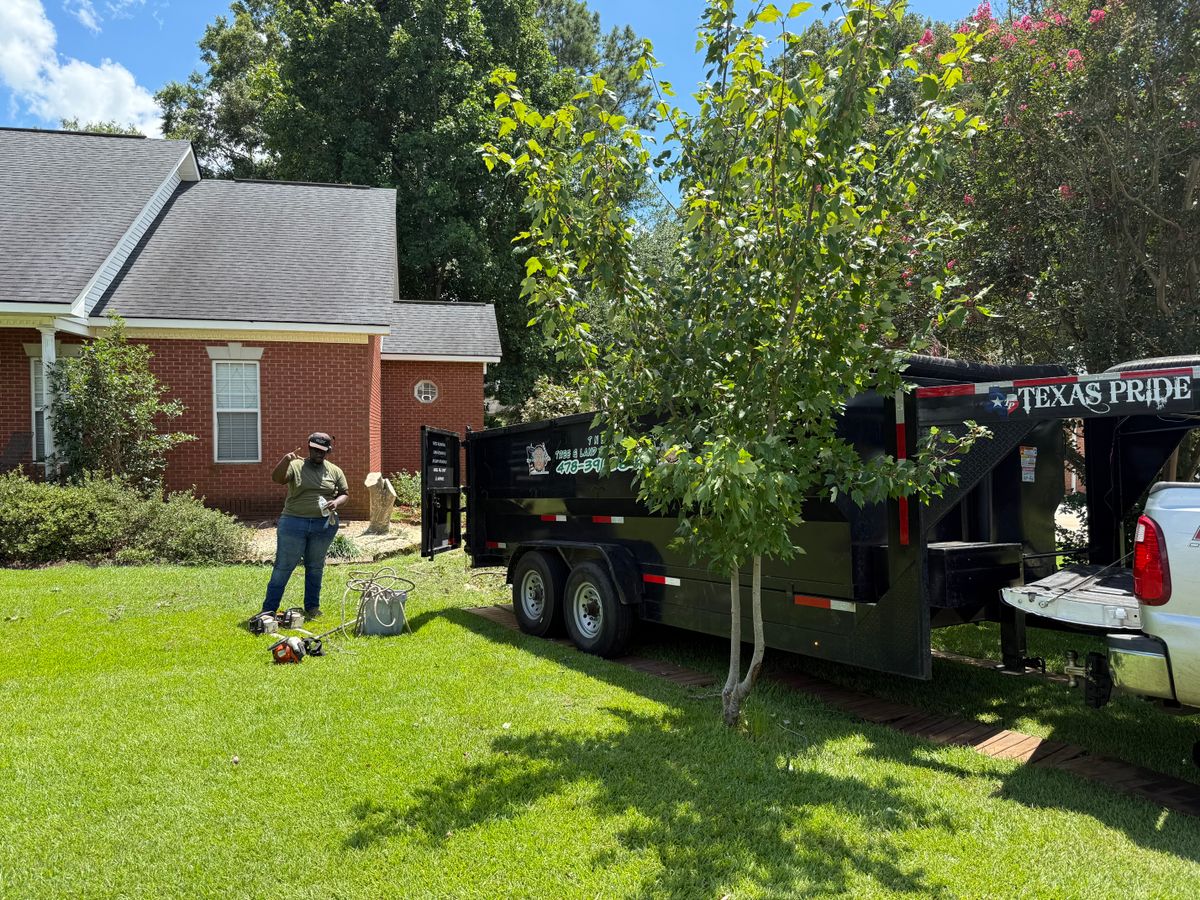 Tree Trimming for T N L - Tree and Land Service in Reynolds, GA