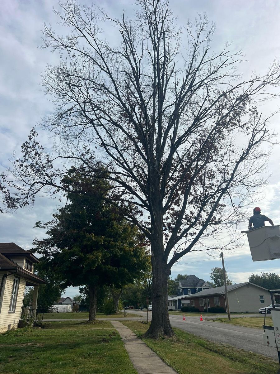 Property Clean Up for Baker Professional Services LLC in Shelbina, MO