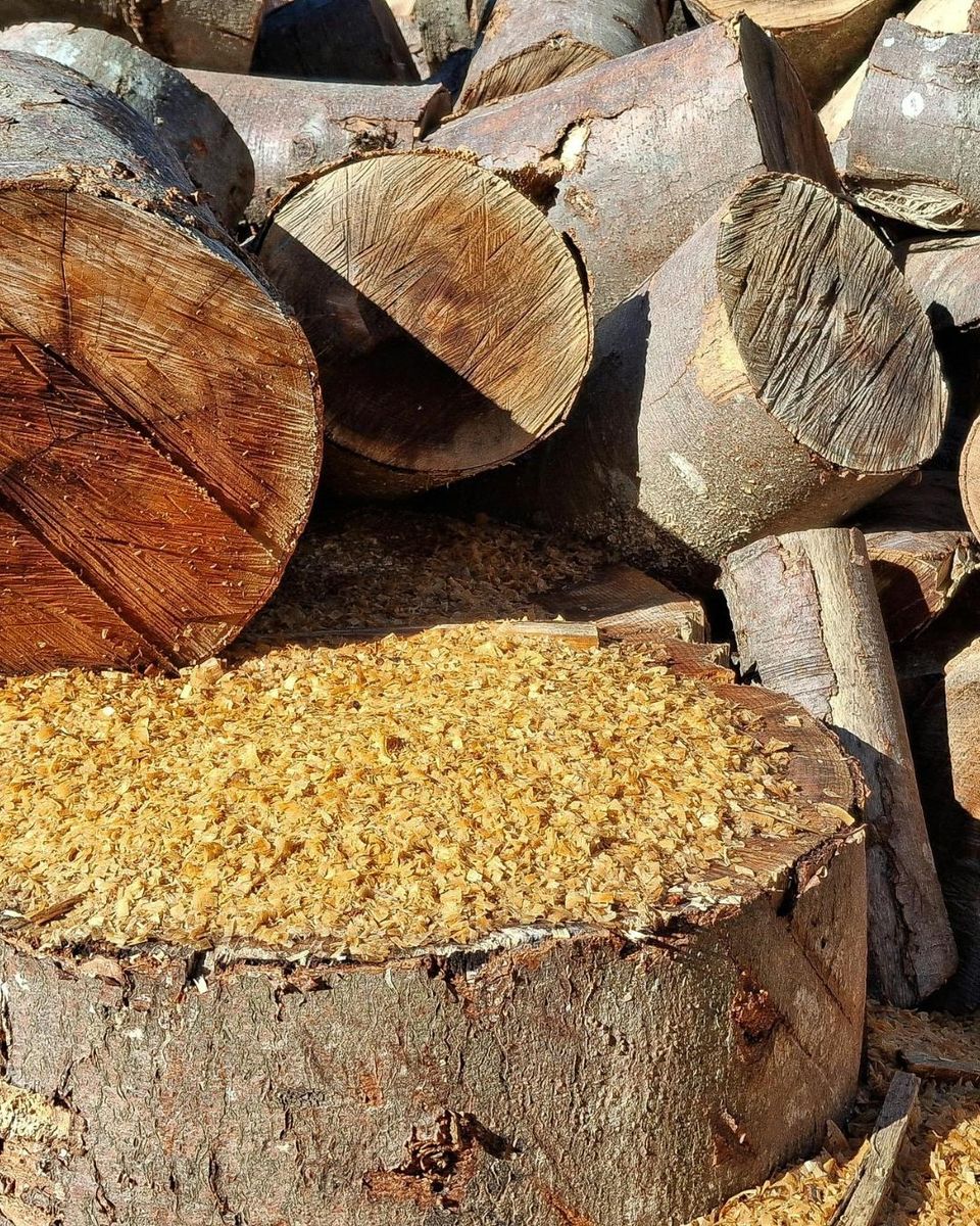 Stump Removal for Oakwood Tree Removal LLC in Oak Creek,  WI