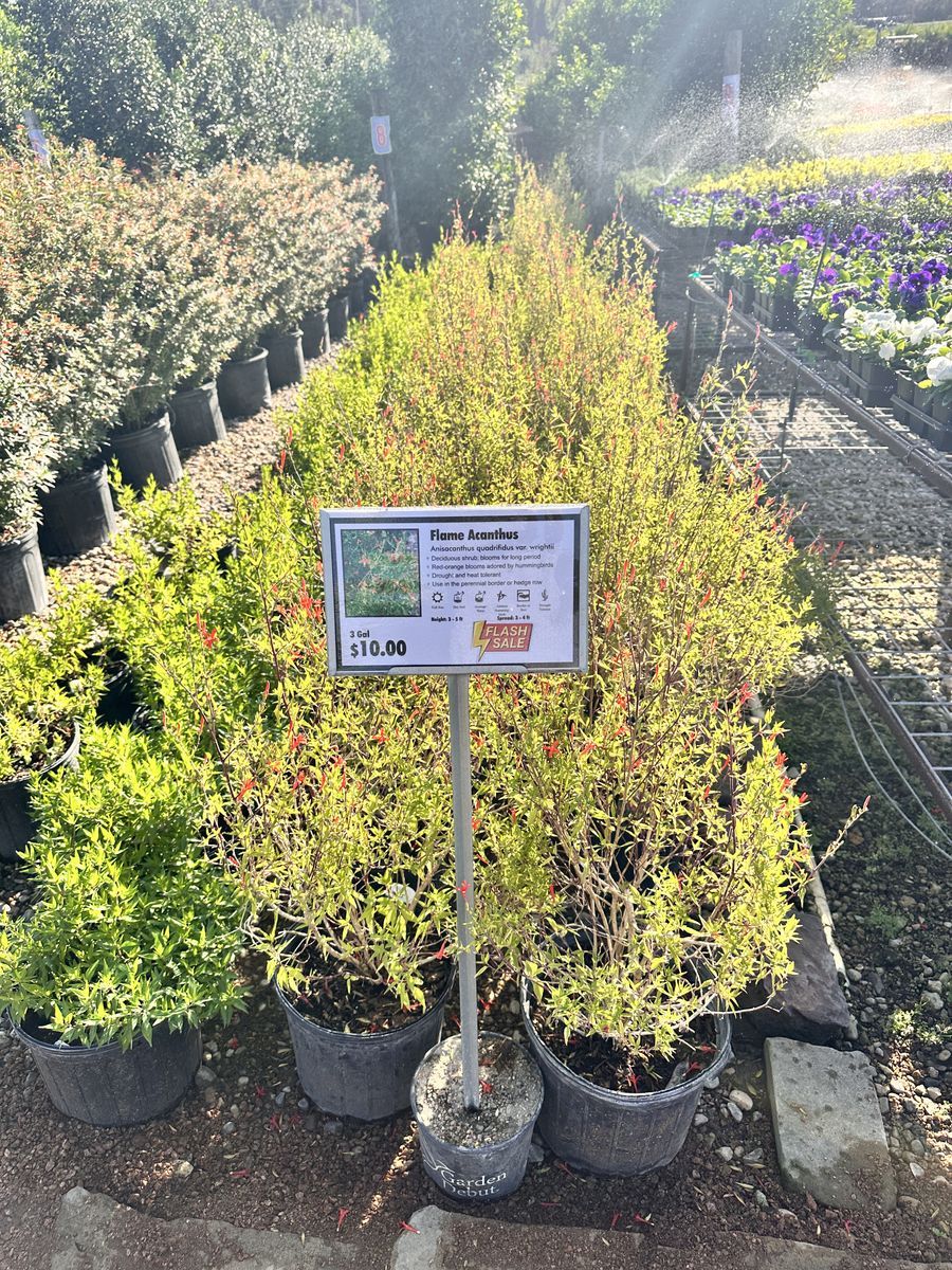 Landscape Installation for Atlas Land Design in Creekside Park, TX