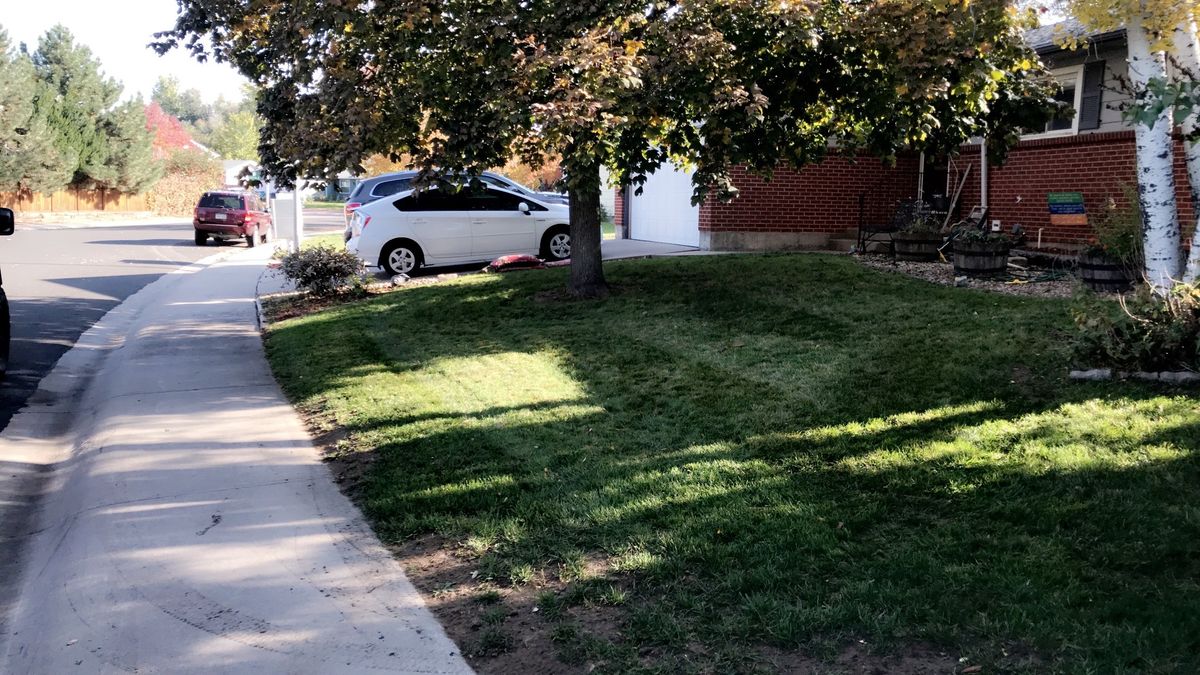 Trimming for Rock Masters Inc. in Evans, CO