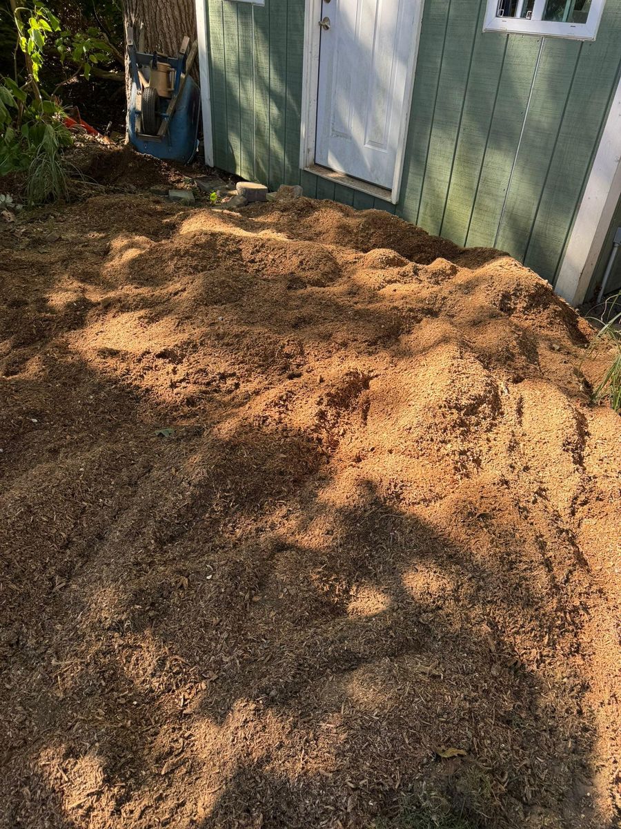 Stump Removal for Jills Stump Grinding and Firewood in Shelton, CT