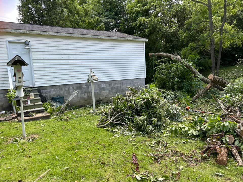 Tree Removal for Curtis Tree Service LLC in Hopkins County, KY