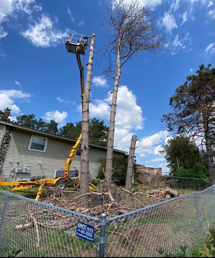 Tree Trimming for K and Z Lawn Care in Andover, MN