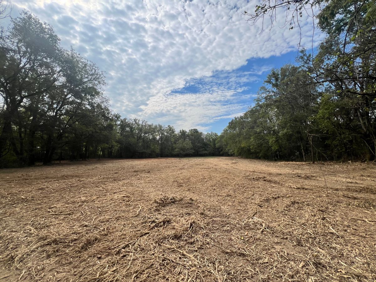 Forestry Mulching for Blair Excavation in Cookeville, TN