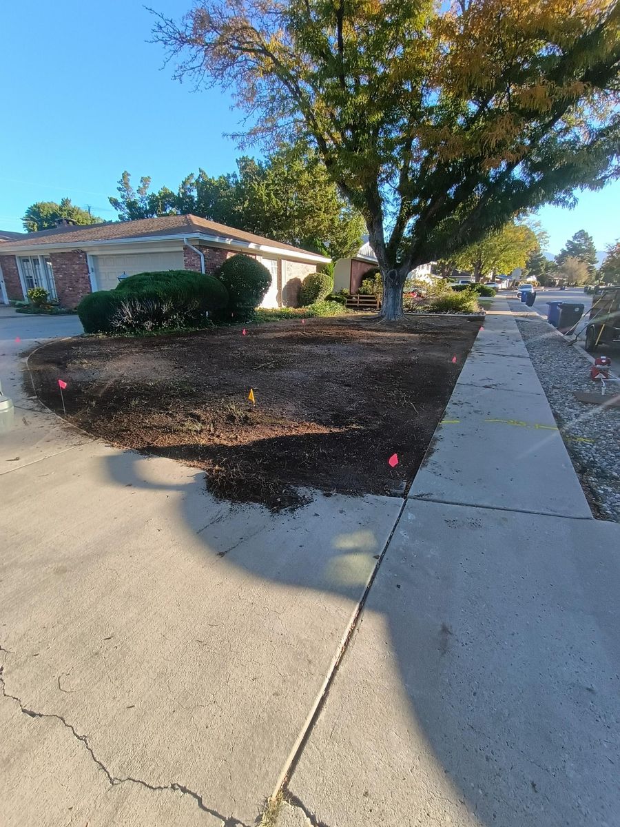 Sod Installation for 2 Brothers Landscaping in Albuquerque, NM