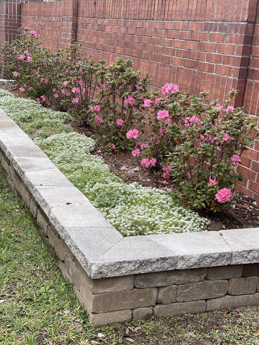 Hardscaping for Atlas Land Design in Creekside Park, TX