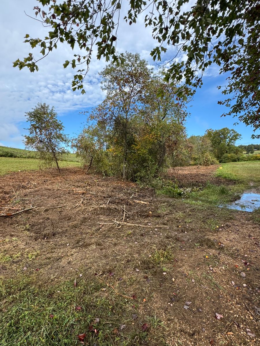 Reclaim Land for Mountain Goat Land Management in Galax, VA