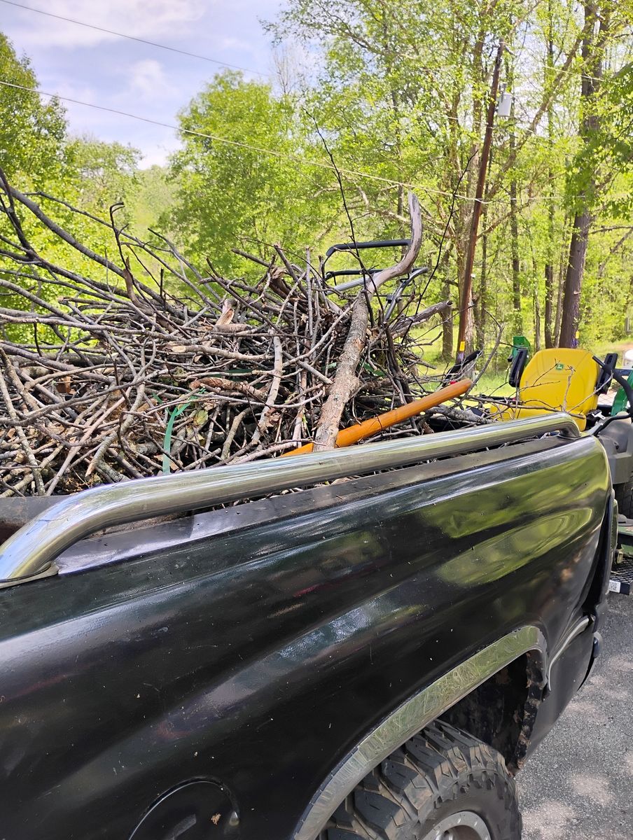 Debris Removal for Lindsey's Lawn Care in Inman, SC