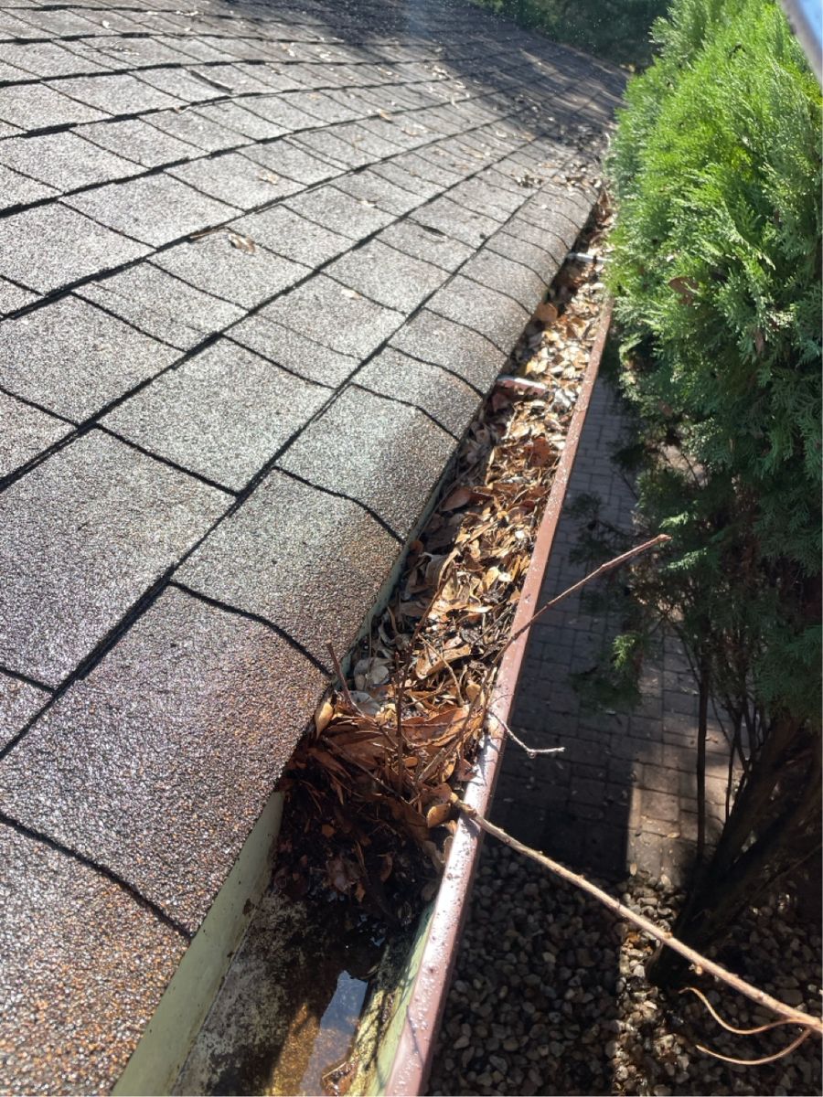 Residential Roof Cleaning for Power Pressure Wash in Houston, TX