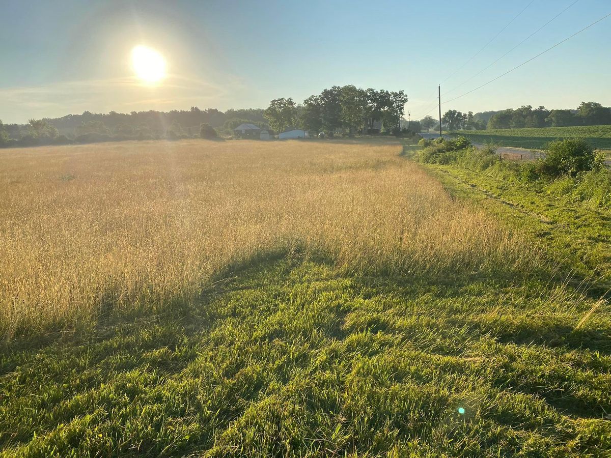 Property Maintenance for A1 Bush Hogging & Lawn Service in Columbus, OH