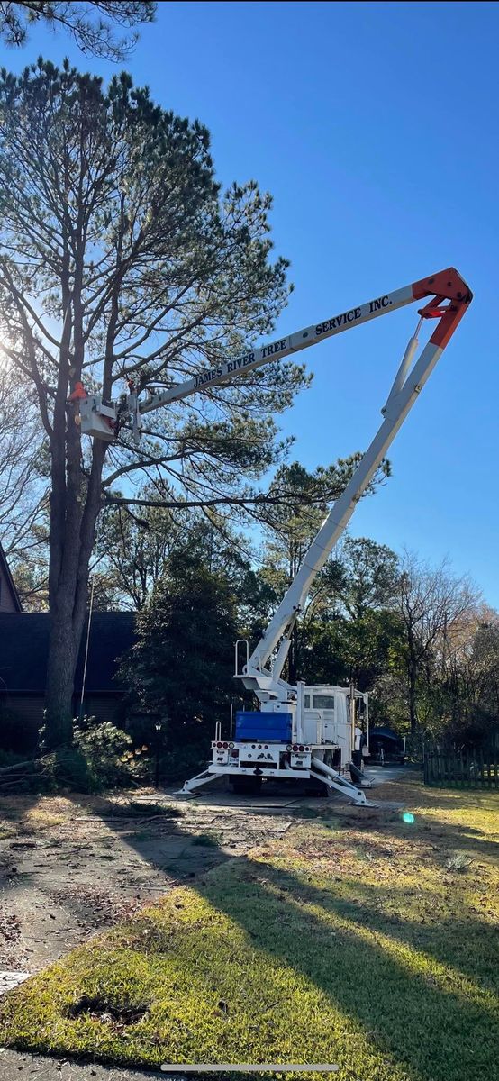 Tree Trimming for James River Tree Service in Suffolk, VA