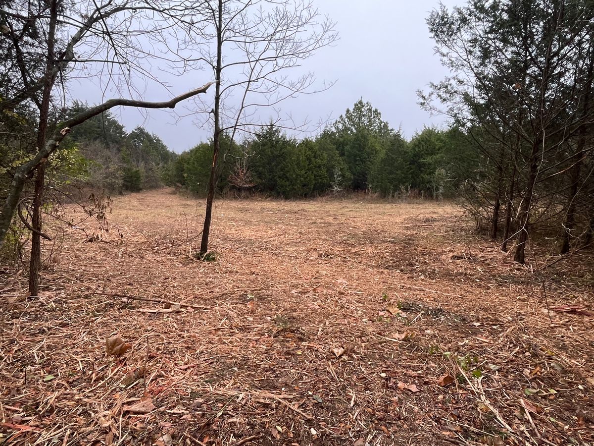 Land Clearing for TriStar Land Clearing & Mulching in Franklin, TN