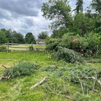 Land Clearing for Rowan Enterprise in Pottstown, PA
