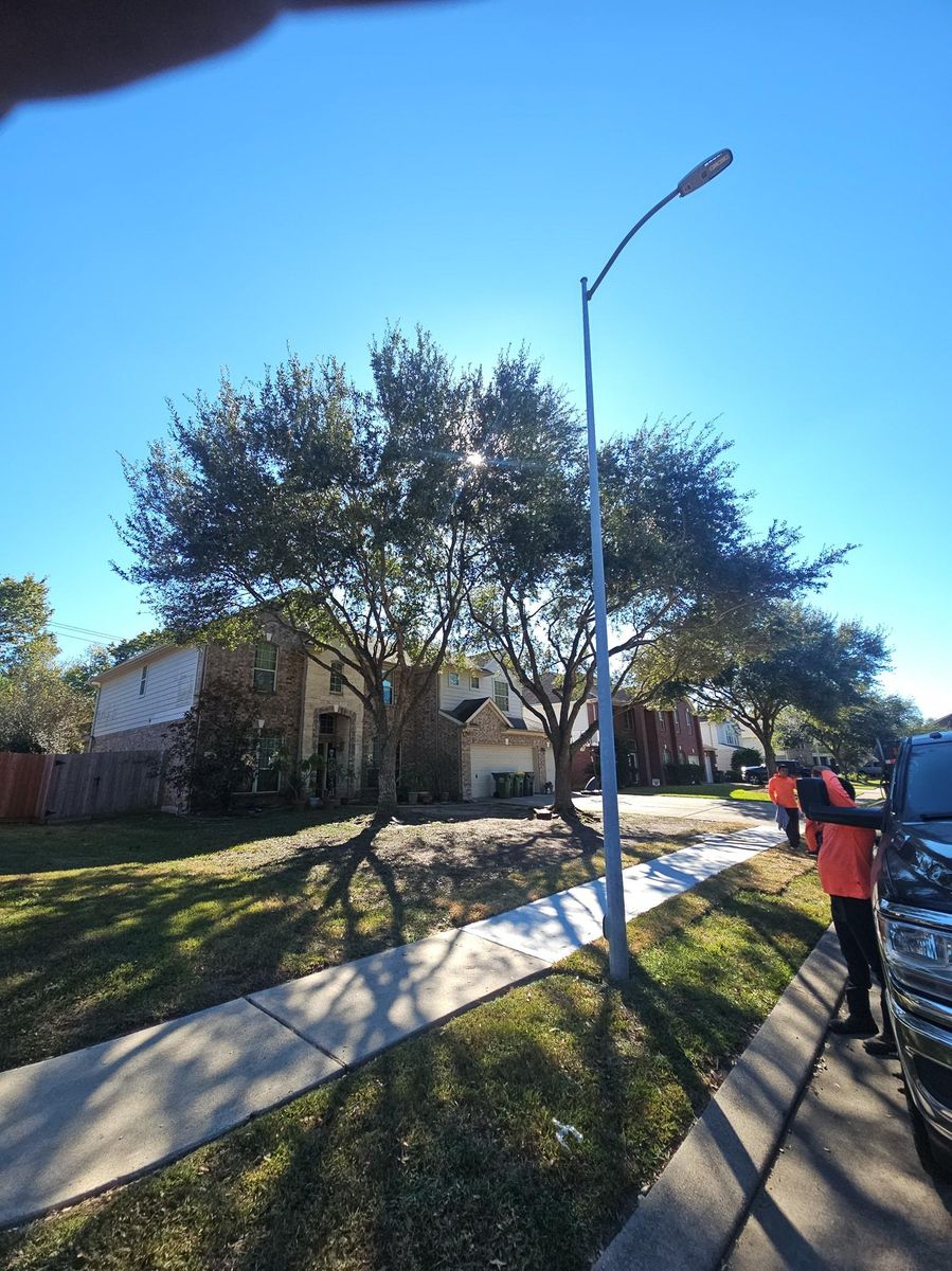 Fall Clean Up for Servin's Tree Care  in Houston, TX