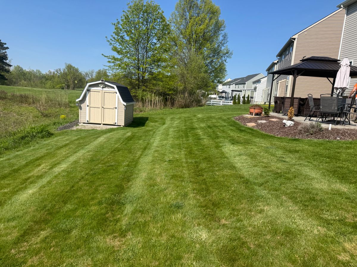 Mowing for Yard Theory in Willowick, OH