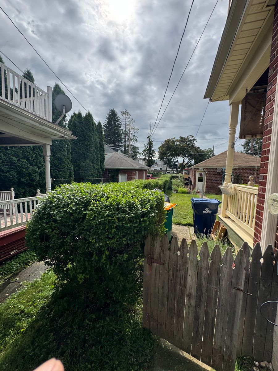 Seasonal Clean Up for Landscape & Lawn Care Pros in Temple, PA