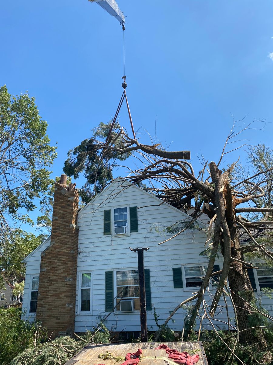 Tree Trimming for Elite Tree & Landscape Services LLC in St. Augustine, FL