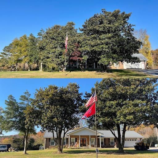 Tree Trimming for Ross Family Tree Service LLC  in Hohenwald, TN