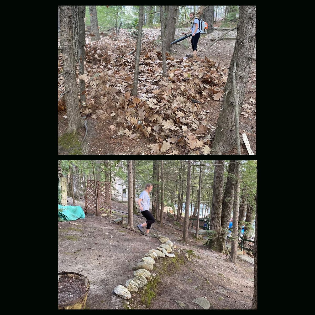 Fall Clean Up for Willett's Forest and Property Maintenance in 03278, NH