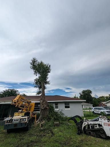 Skid Steer Work for Regal Tree Service and Stump Grinding in Wauchula, FL