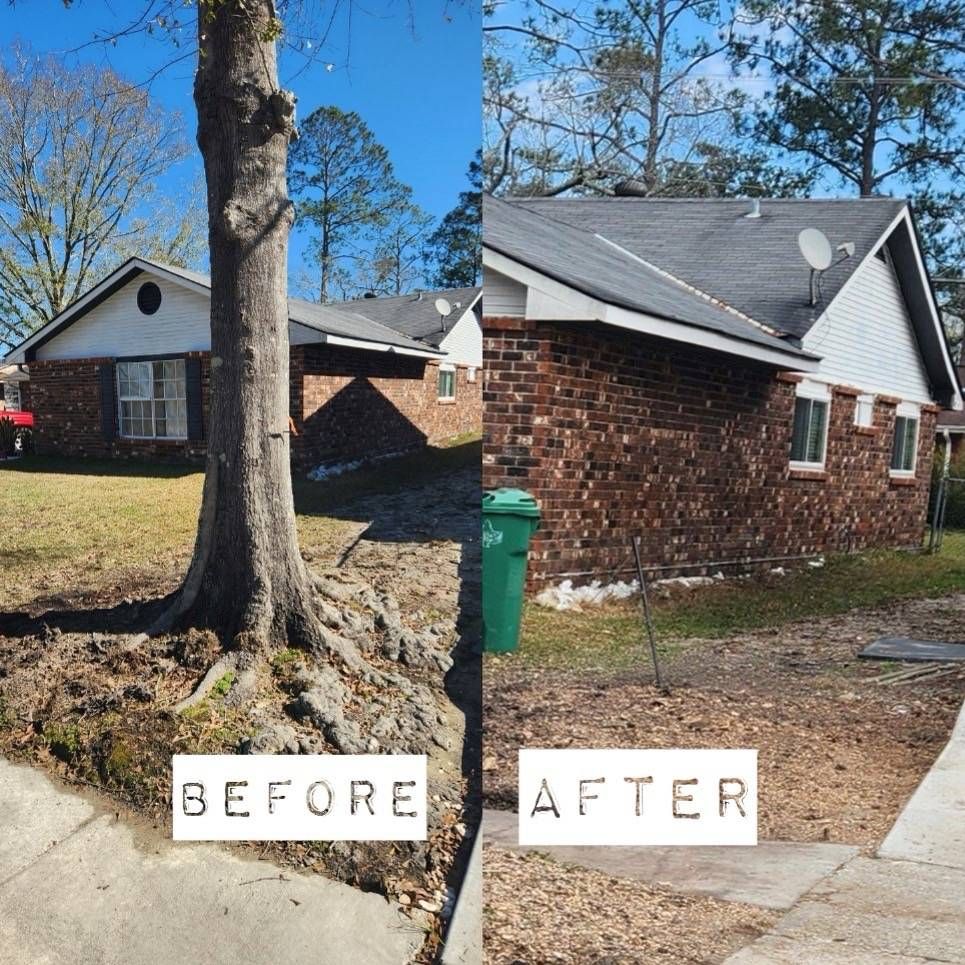 Stump Grinding for David's Tree Service in Slidell, LA