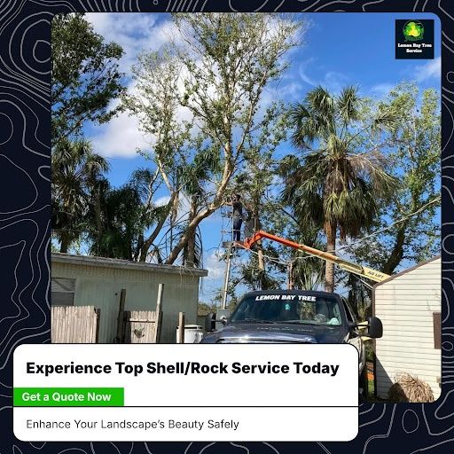 Tree Trimming for Lemon Bay Tree Service  in Englewood, FL
