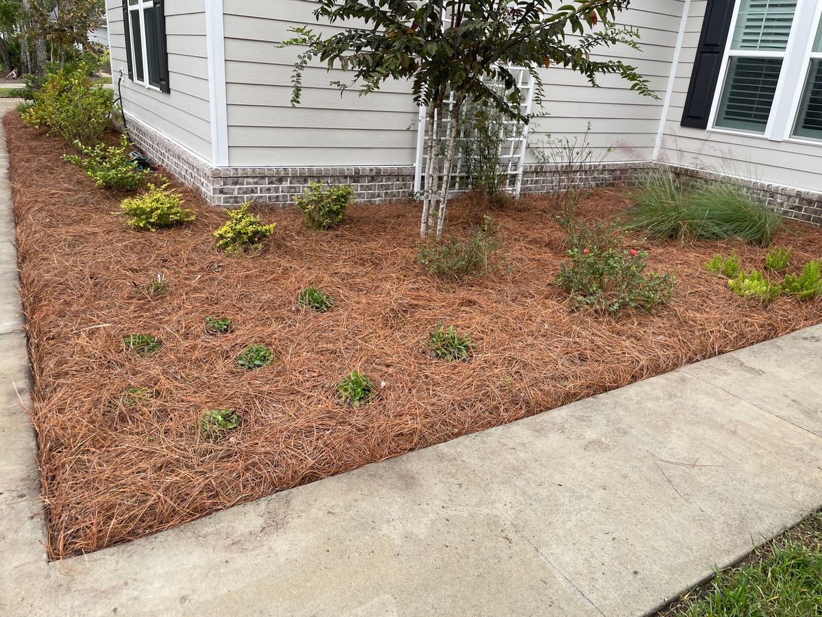 Land Clearing for Golden Isles Greenery in Brunswick, GA