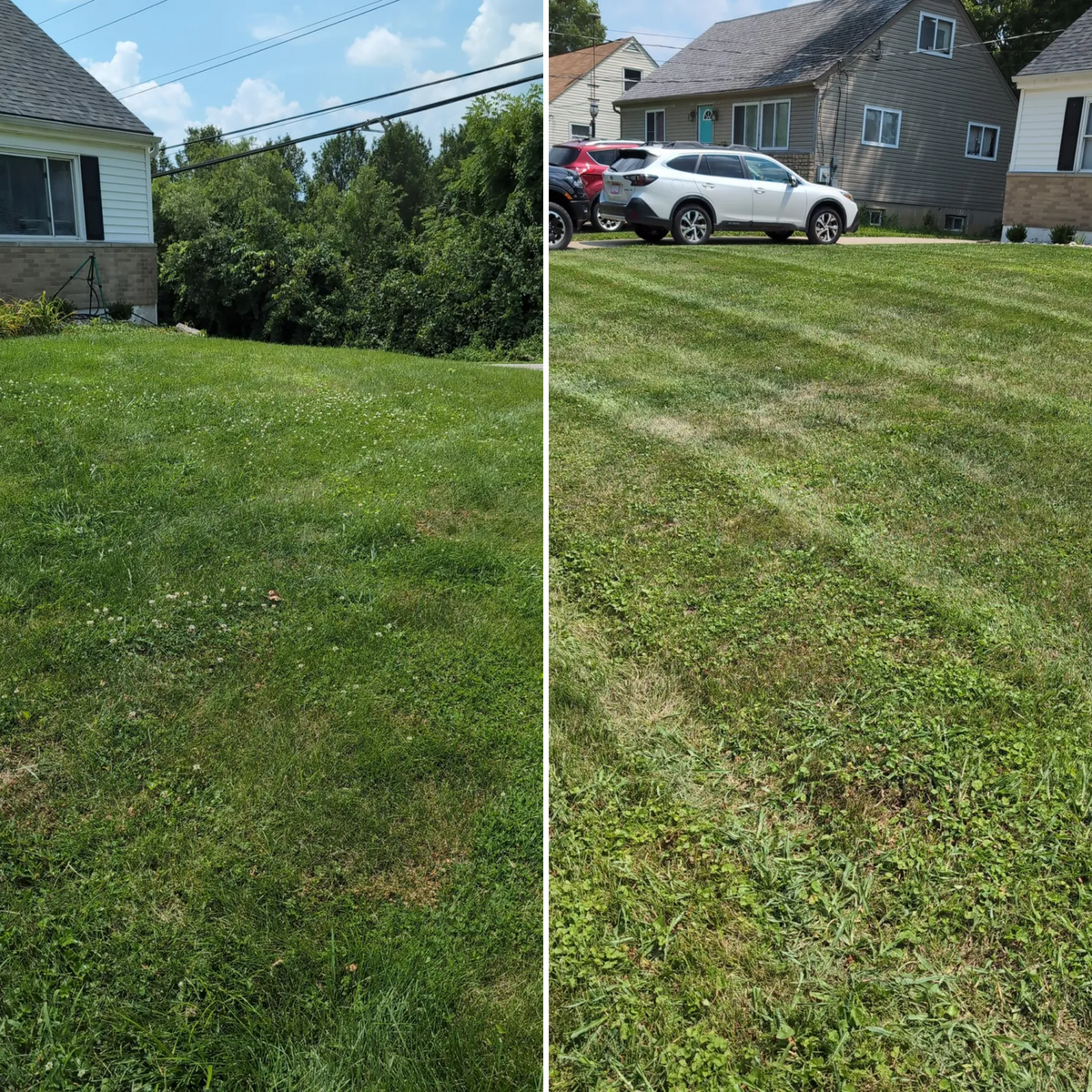 Lawn Maintenance for Vaske Lawn Care in Burlington, KY