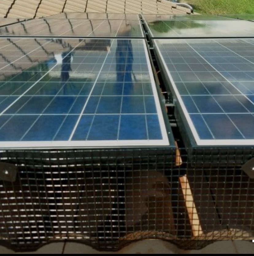 Bird Proofing Solar Panels for The Window & Solar Ninjas in Riverside County, CA