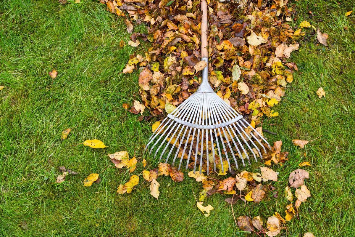 Fall Cleanup for Lifestyle Landscapes LLC in Northeast Minneapolis, MN