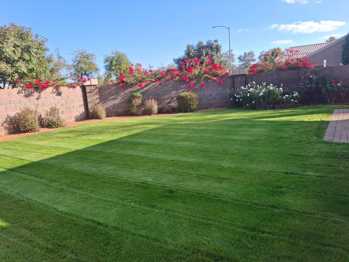 Mowing for Family Landscaping in Phoenix, AZ