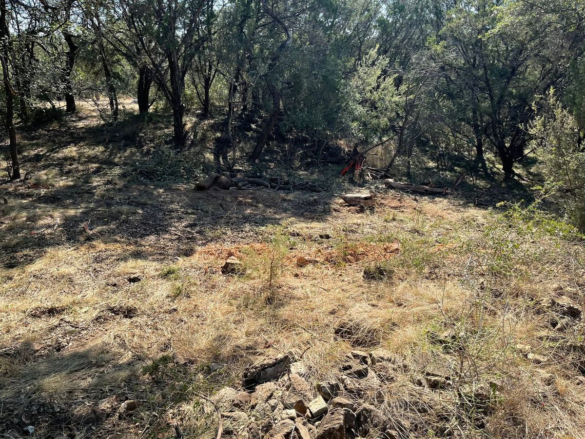 Tree Removal for Oakley’s Stump ‘N Grind in Leander, TX