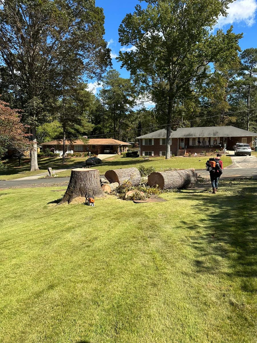 Fall Clean Up for ArborMax in Thomaston, GA