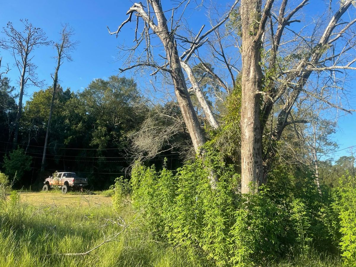 Shrub Trimming for Equality Contracting And Tree in Kountze, TX